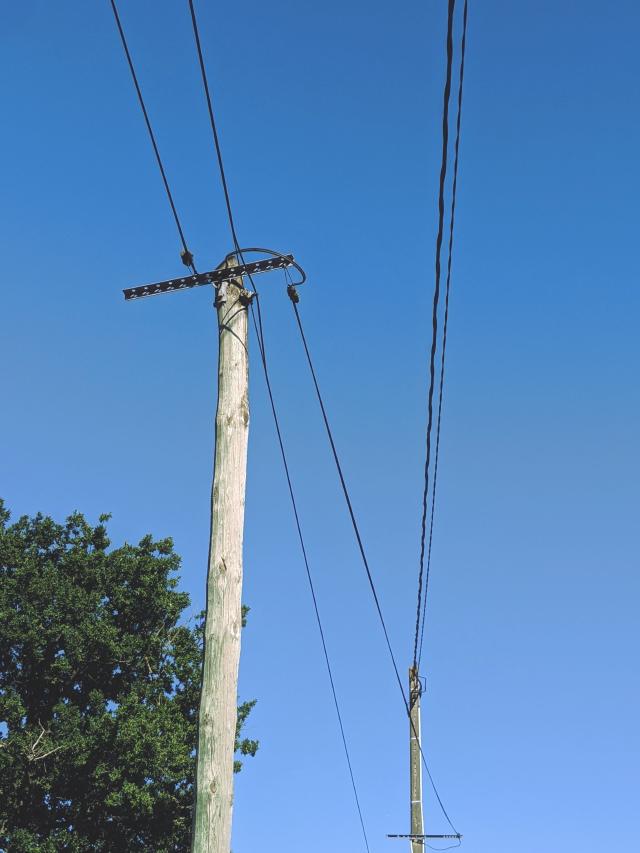 Electrical wires on a blue sky background. A tree is in the lower left corner)
