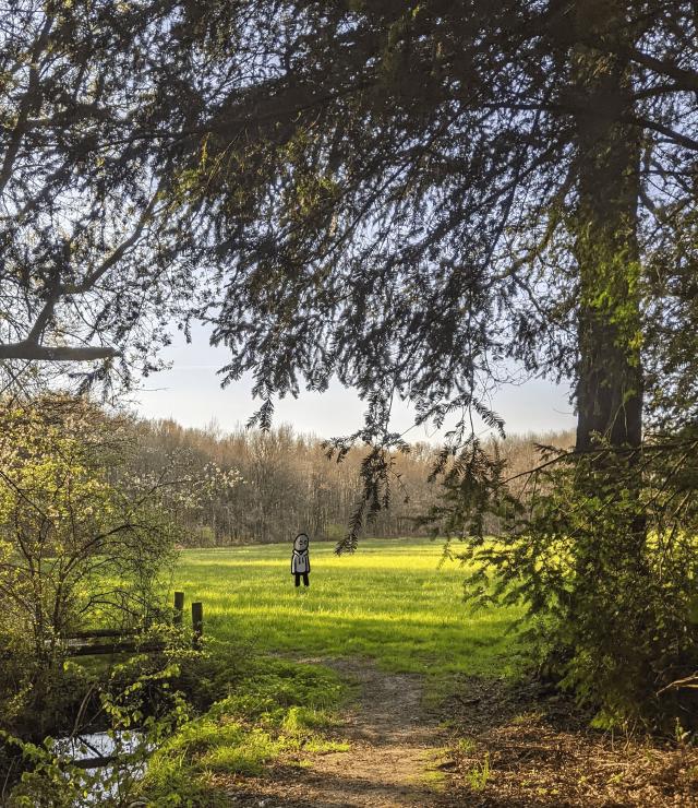 Dimitri is now standing in a forest clearing, enjoying the sun.