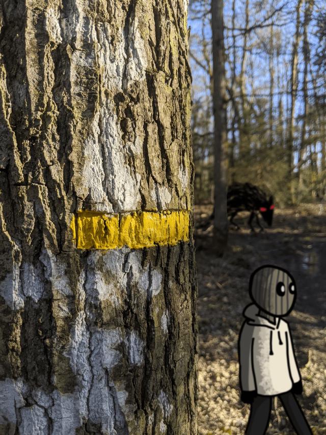 The foreground shows a hiking beacon on a tree. A little behind, Dimitri is walking in the wrong direction. Finally, in the blurred background, a red-eyed wolf is watching the character from behind a tree.